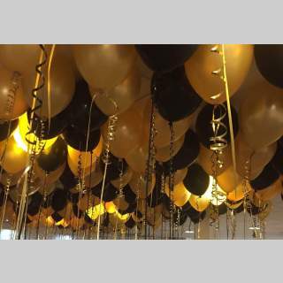 Ceiling Balloon