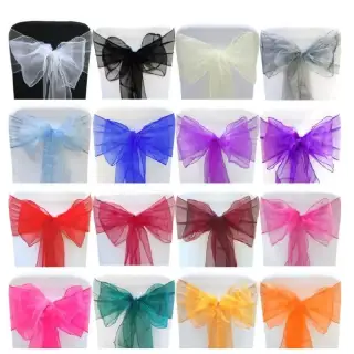 Organza Sash