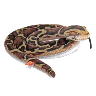 Snake Skinny L/E Burmese Python 152cm